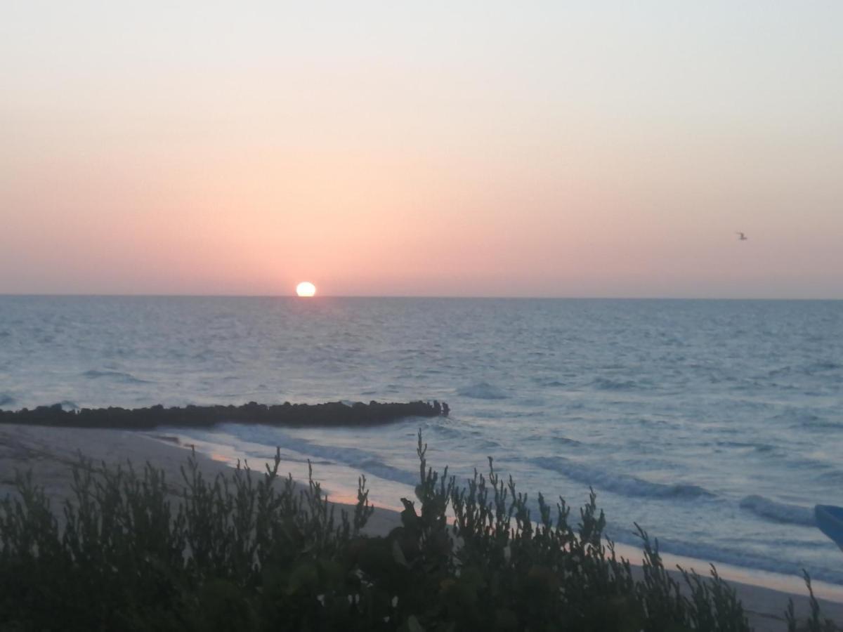 Apartamento 4 El Paraiso De Capitan Fernando Διαμέρισμα Chelem Εξωτερικό φωτογραφία
