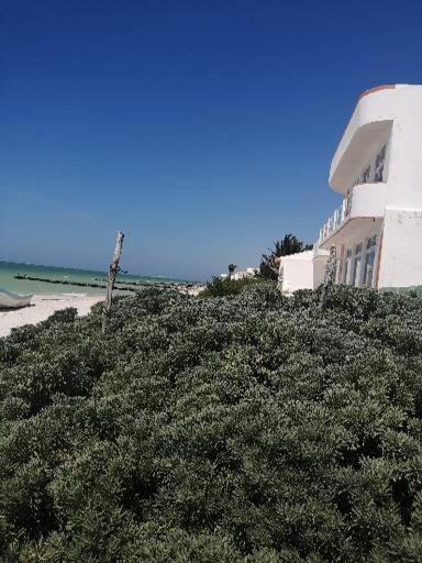 Apartamento 4 El Paraiso De Capitan Fernando Διαμέρισμα Chelem Εξωτερικό φωτογραφία
